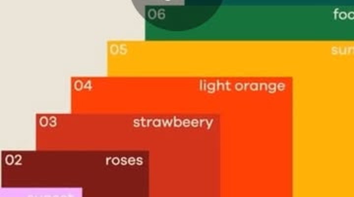 Main Content Image