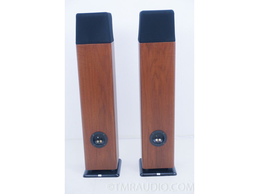 Ohm Acoustics Walsh 1000 Tall Speakers; Pair (9533)