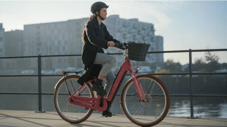 fahrradanhänger kugellager Transportanhänger Cargo Trailer - Red Loon Cargo T4 - Fahrrad Transport Anhänger - Alu Wanne - Aluminium Felgen - extrem leicht Category:Trinkflaschen/halter_74 g Frame:Step-Thru 2020 450 MX SHOOTOUT: