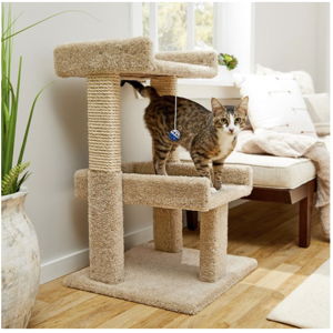 FRISCO 32-in Real Carpet Wooden Cat Tree with Toy in Beige