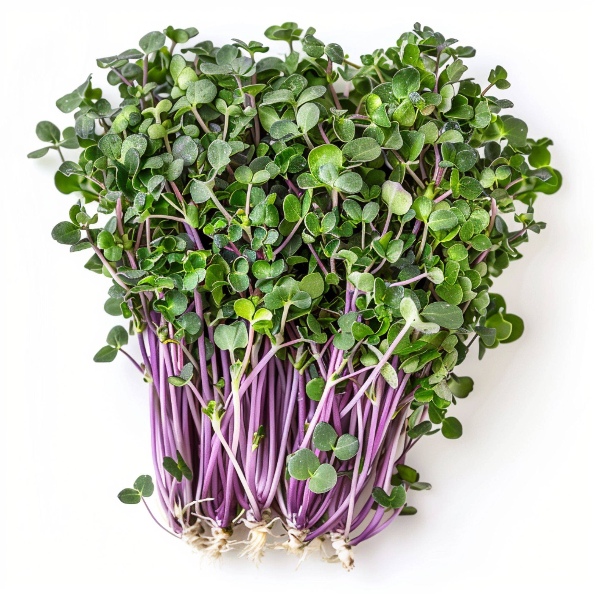 kale sprouts