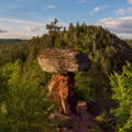Teufelstisch im Pfälzerwald - Naturdenkmal und Wahrzeichen