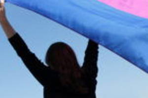 The Long Fight for Bi Inclusion