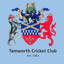 Tamworth Cricket logo