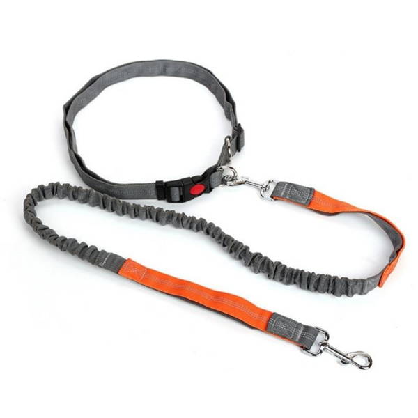 Hands-free elastic leash for dogs