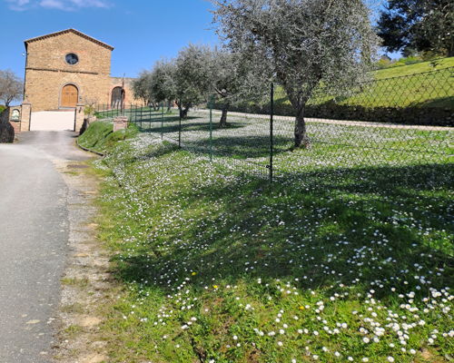 Food & Wine Tours Paciano: Between art and food: discovering Umbrian delights