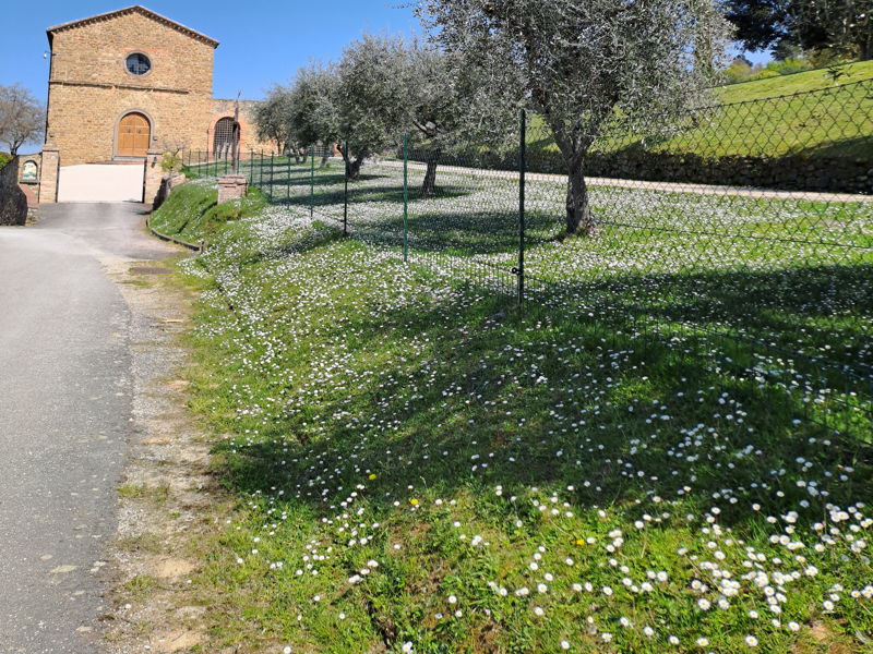 Food & Wine Tours Paciano: Between art and food: discovering Umbrian delights