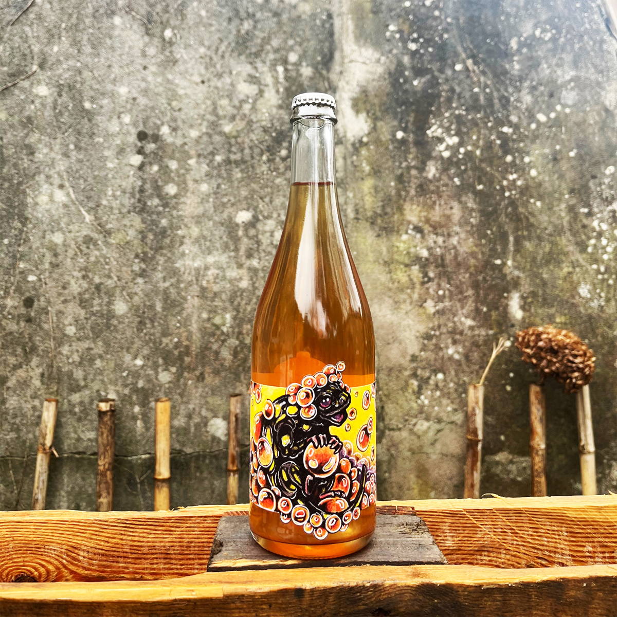 France, vin nature, rawwine, organic wine, vin bio, vin sans intrants, vin sans souffre, vin sans sulfites ajoutés, bistro brute, vin rouge, vin blanc, rouge, blanc, nature, vin propre, vigneron, vigneron indépendant, domaine bio, biodynamie, vigneron nature, cave vin naturel, cave vin, caviste, vin biodynamique, bistro brute, Quimper, Finistère