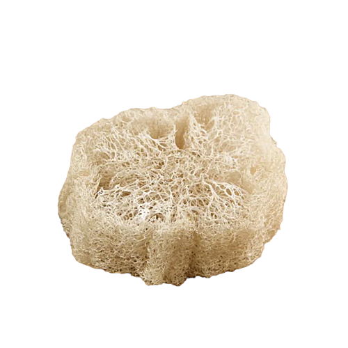 Éponge Loofah