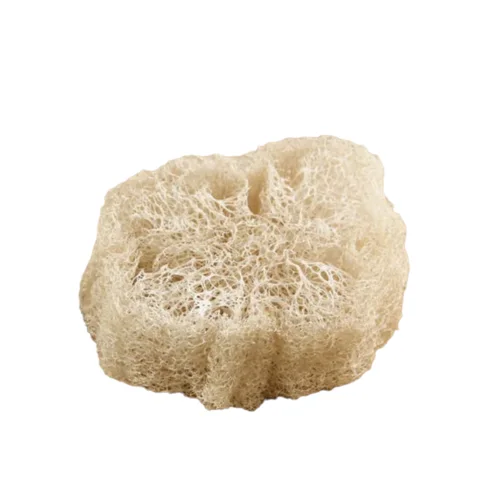 Éponge Loofah