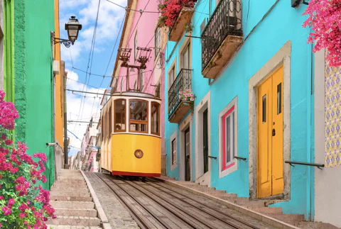 Hop-On Hop-Off Bus, Tram Tour, River Cruise for 72 hours