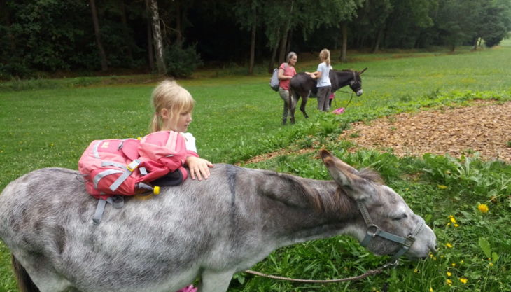 eselhof rötlein kinder und esel