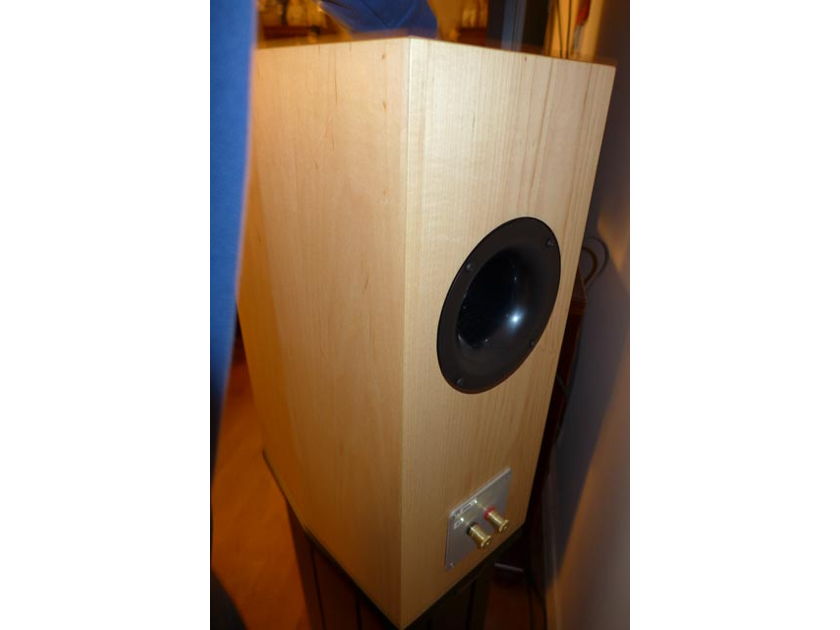 Tyler Acoustics D3MXs Suitable for gifting!  Stands included.