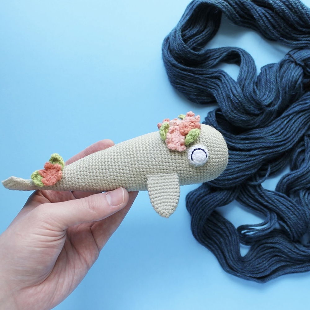 Willow the Whale