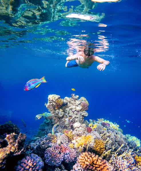 From Dubai: Snorkeling Trip to Fujairan - photo 1