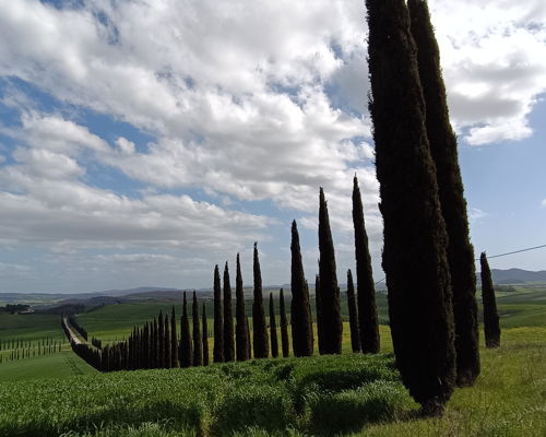 Cooking classes Manciano: Authentic Flavors of Maremma