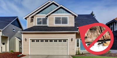 preventing controlling carpenter ant infestation at home
