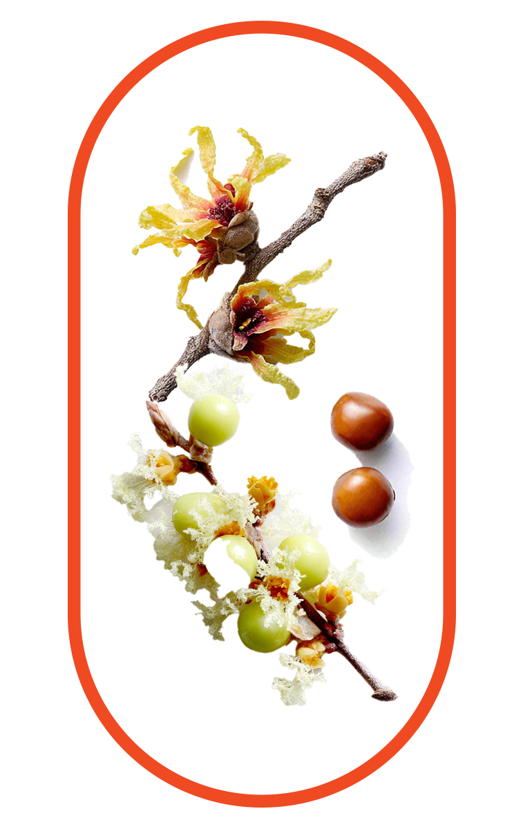 Vitamin K2 as an ingredient of nano singapore's K2 Vitamin with D3 for Bone and Heart Health Supplement