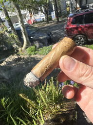 Cigar Session Photo
