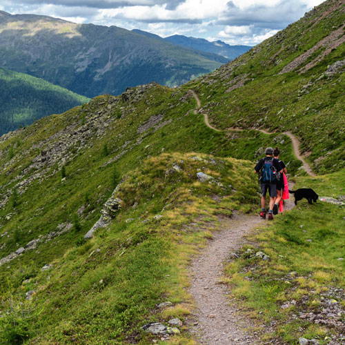 couple on a hike with their dog