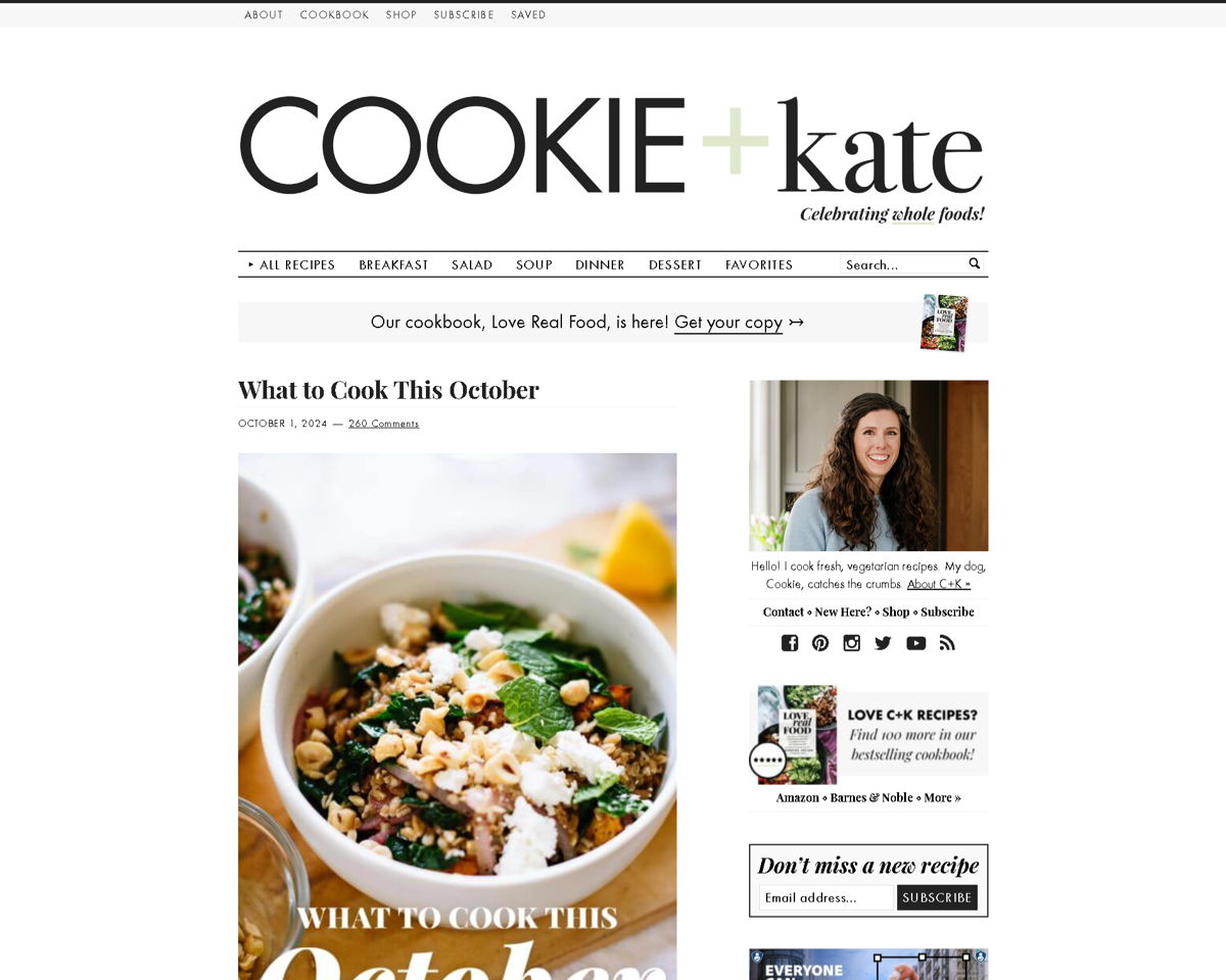Screenshot of Cookie and Kate, from the white websites collection.