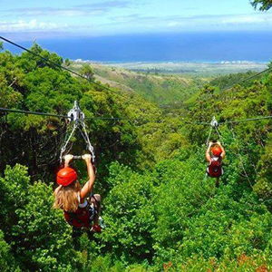 Ziplining Through The Trees!