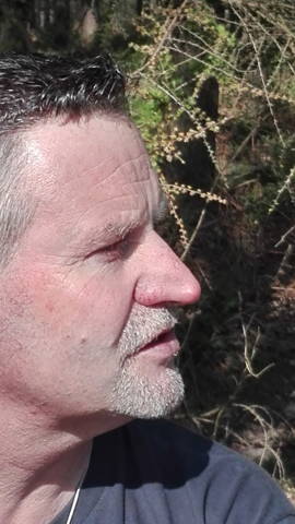 Danny Van Meenen
