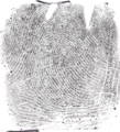 a fingerprint for making fingerprint jewellery