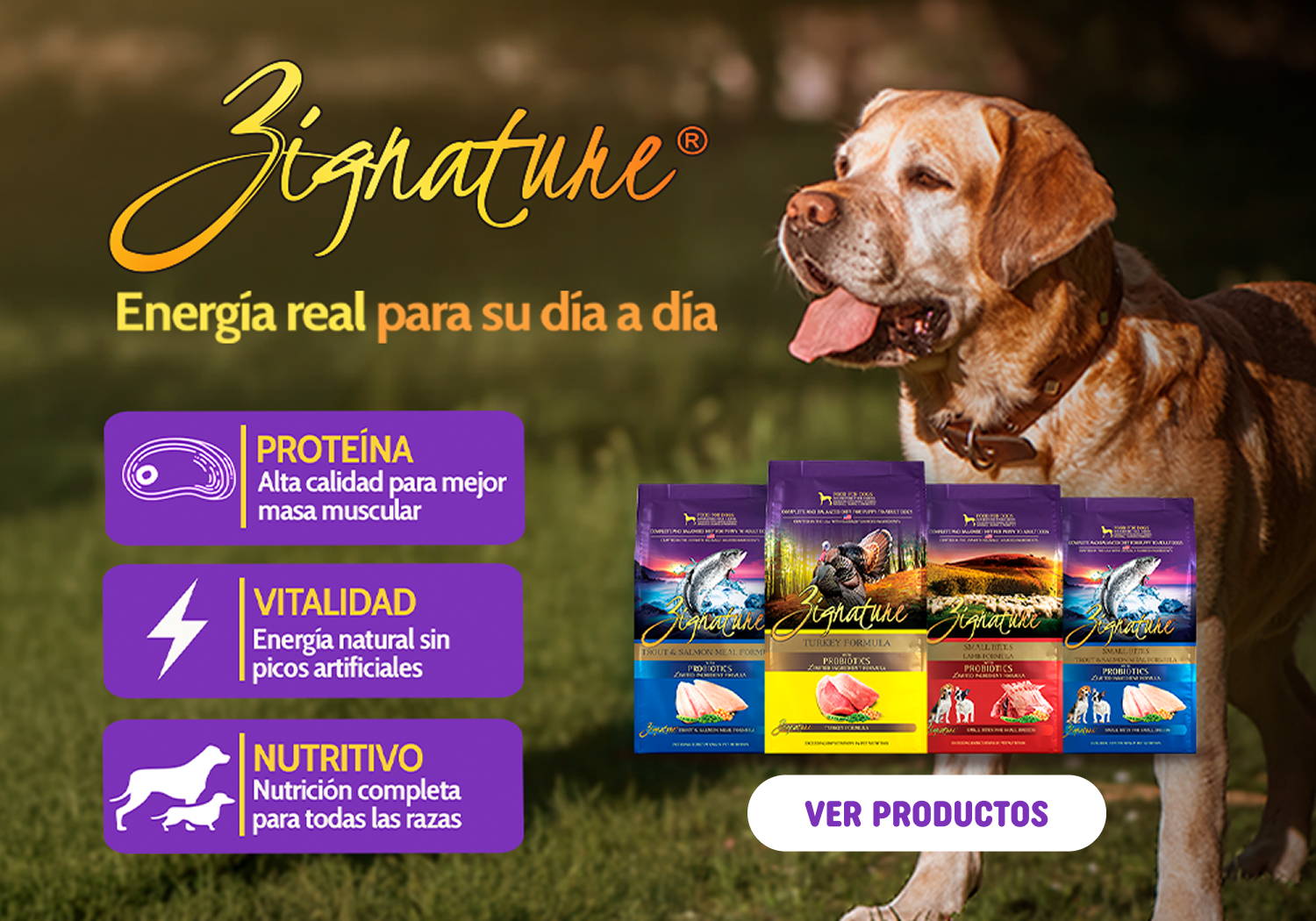 zignature - energía real para su día a día