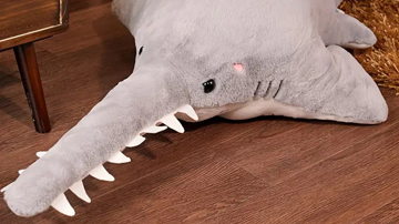 Main Content Image