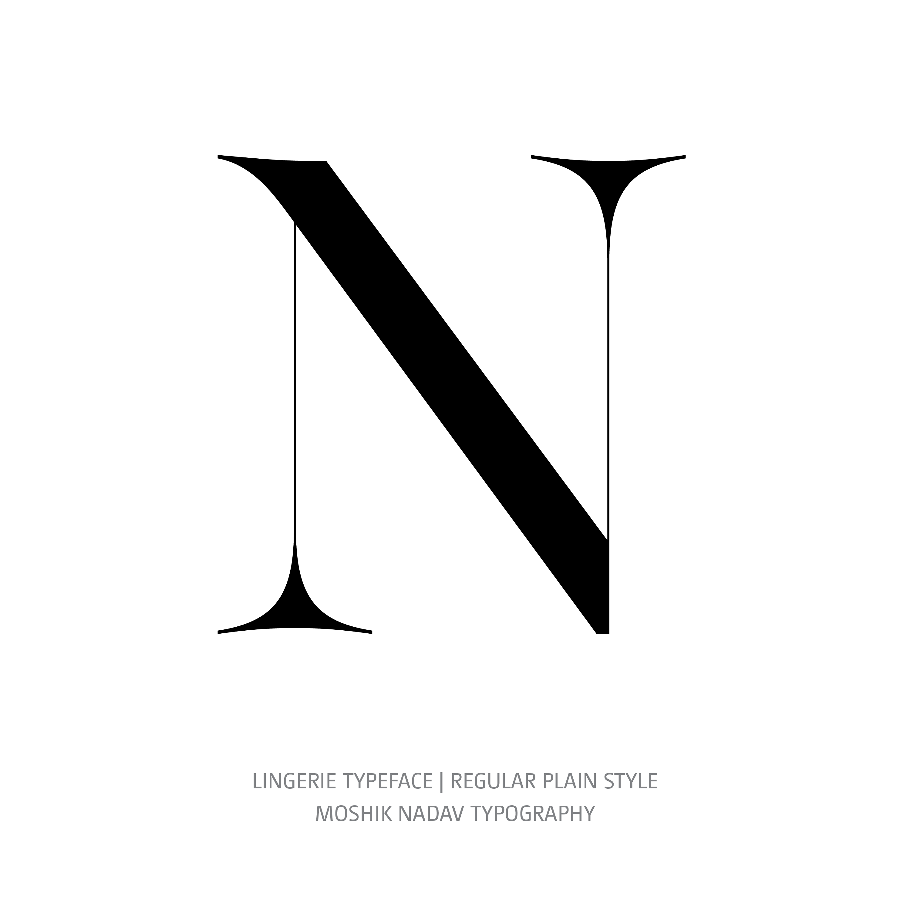Lingerie Typeface Regular Plain N
