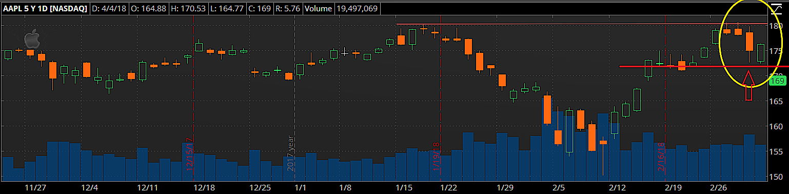 Rookie Blog AAPL Stop loss chart.png