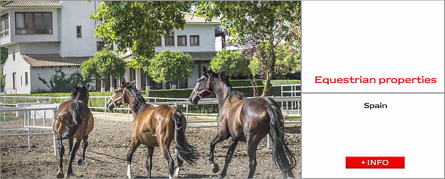  Madrid
- Equestrian properties3.jpg