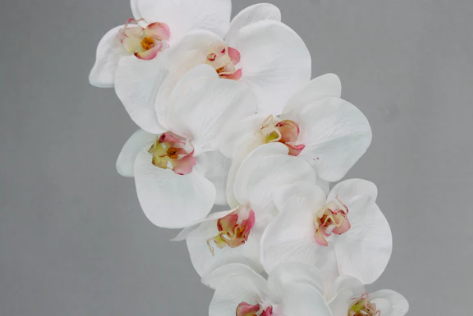 Phalaenopsis Stem - Realistic Artificial Flowers - Image 3