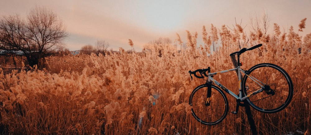 Cinelli bike on a stand near a field