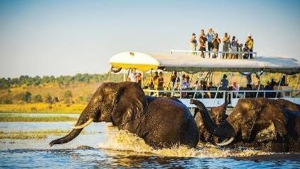 Chobe National Park Day Trip – Kasane, Botswana Tour