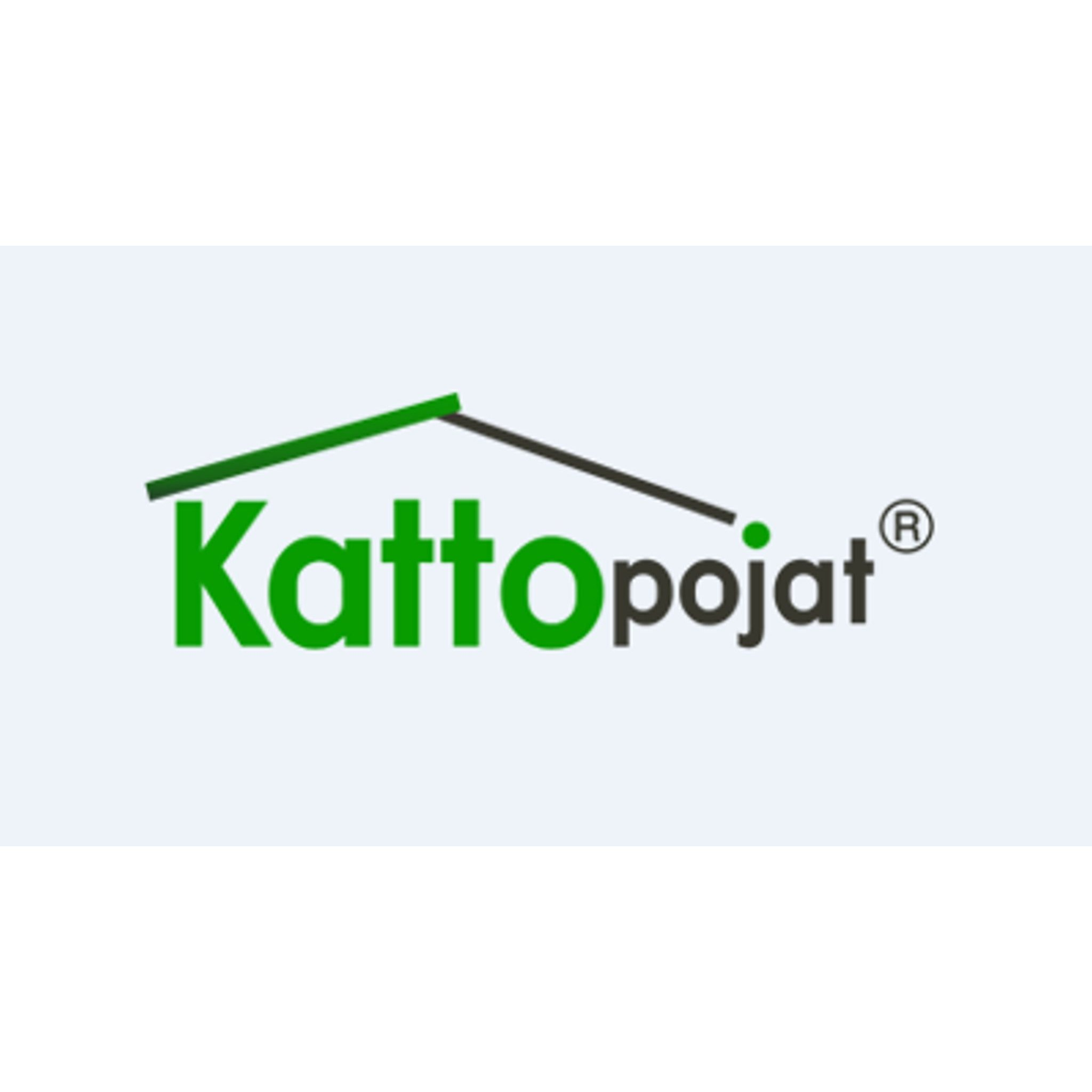 Väinö Ahopelto