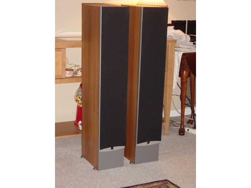 IKON 7 Tower Speakers Like new, less that 10 hours use!