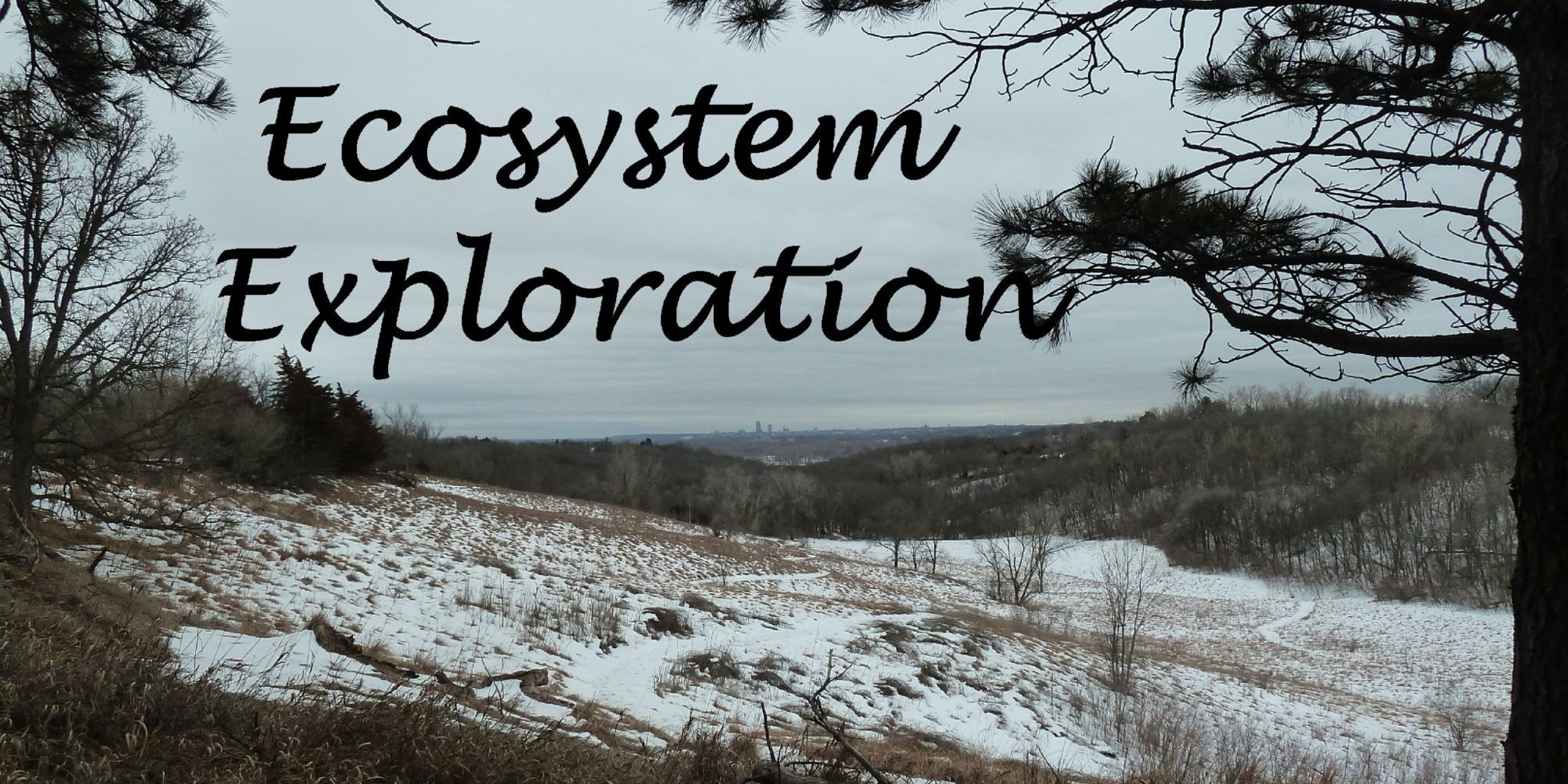 Ecosystem Exploration at Neale Woods promotional image