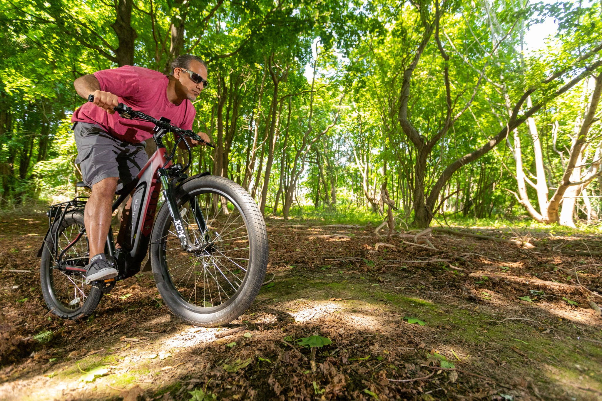 mountain bike elettrica