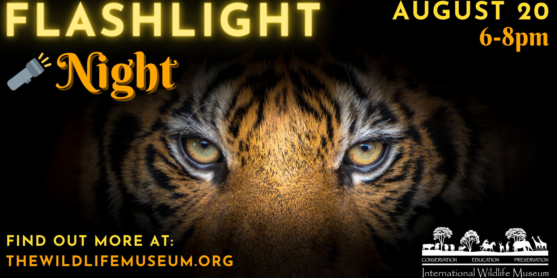 Flashlight Night promotional image