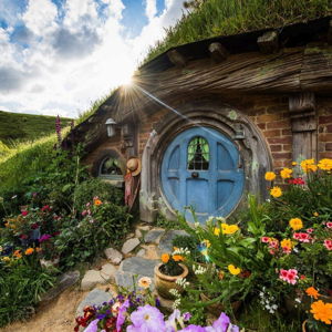 Adventure on our Honeymoon: Trip to Hobbiton in New Zealand