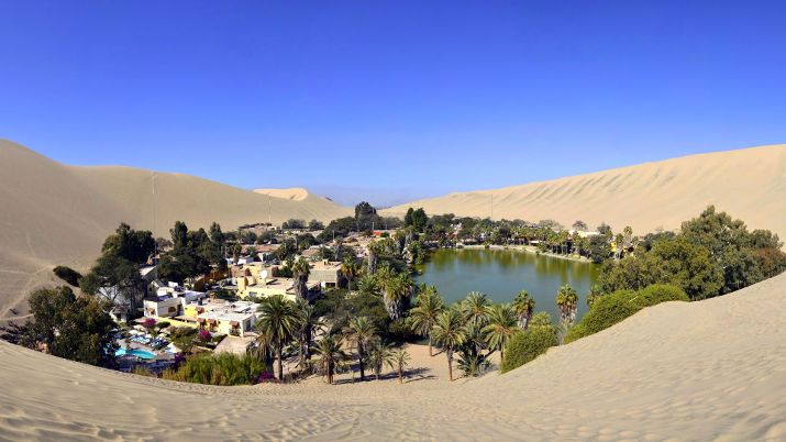 The landscape around Huacachina is adorned with palm trees, providing a unique contrast against the sandy backdrop