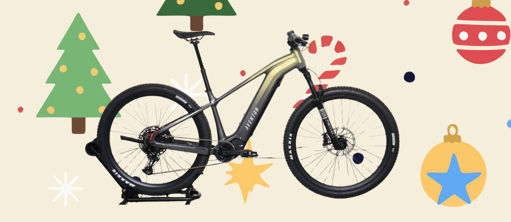 Aventon Ramblas emtb