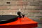 Pro-Ject Audio Systems Debut Carbon - Gloss Red Turntable 2