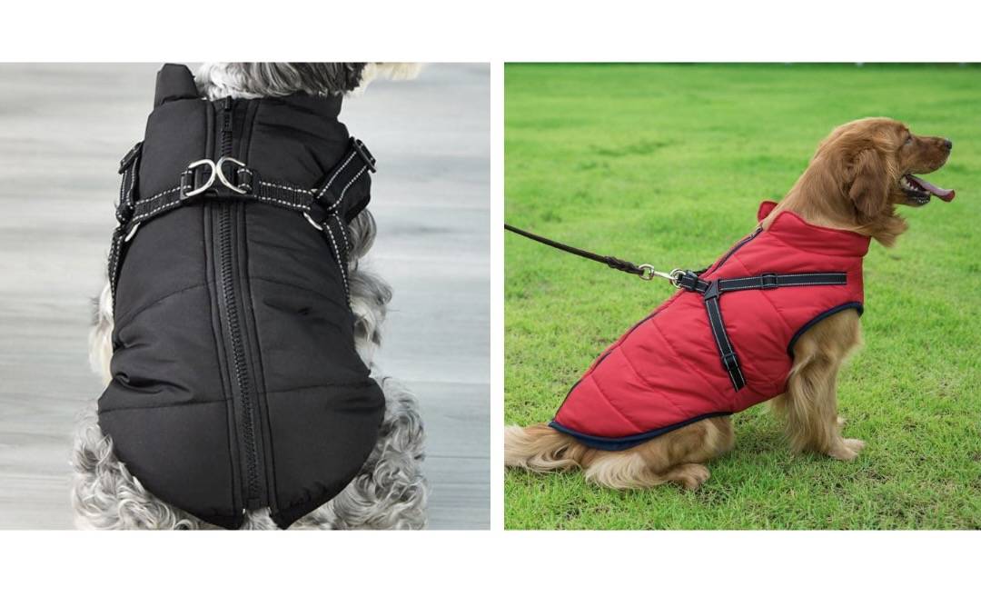 Warm Rainproof Dog Coat/Jacket Pup Buddy