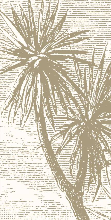 Brown & White Calm Cactus Wallpaper Mural pattern image