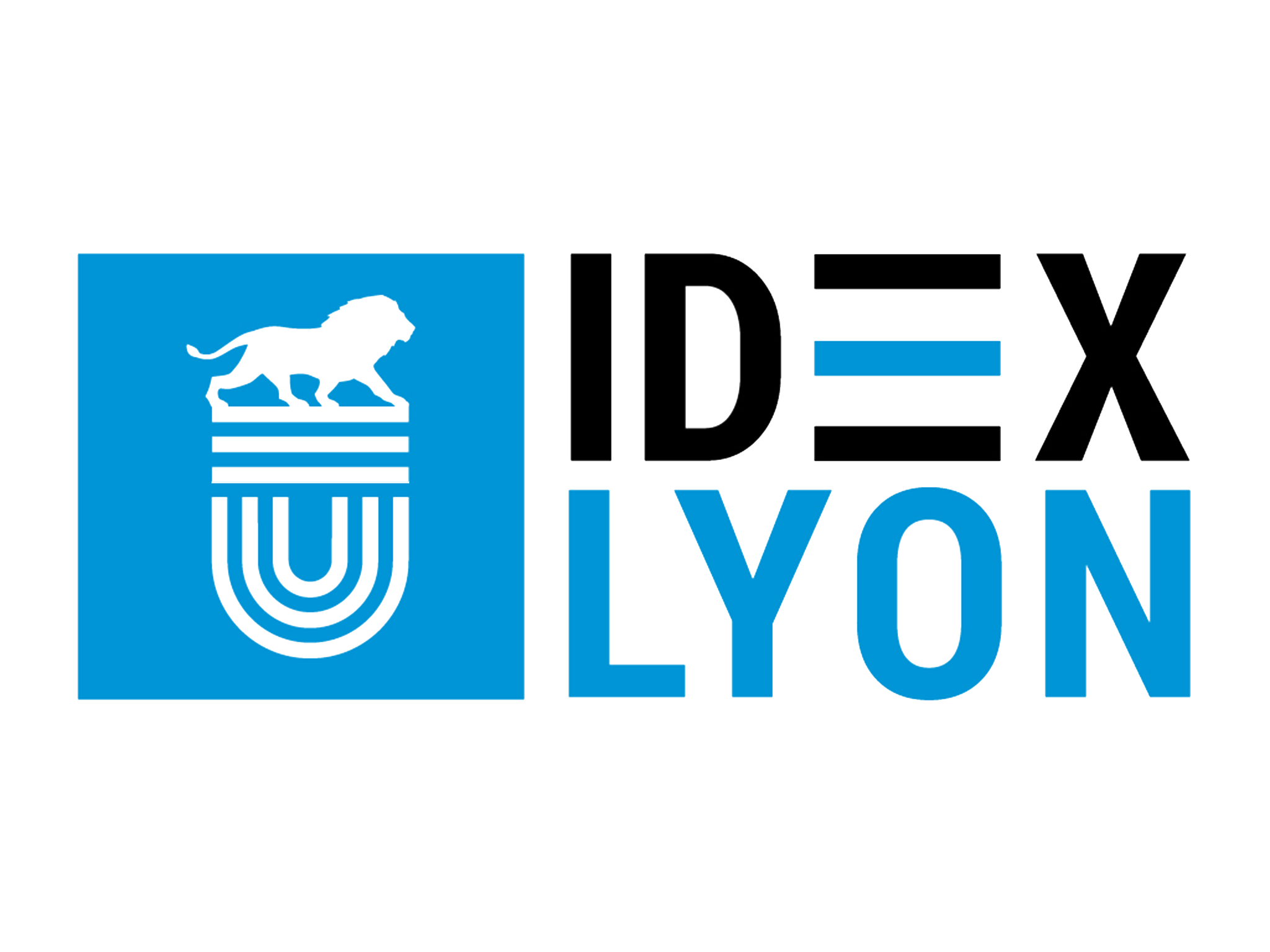 Logo de IDEX LYON