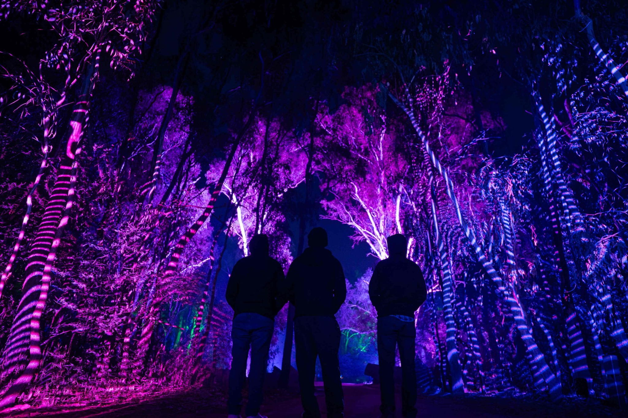 Bullanginya Dreaming Voucher - Image 3