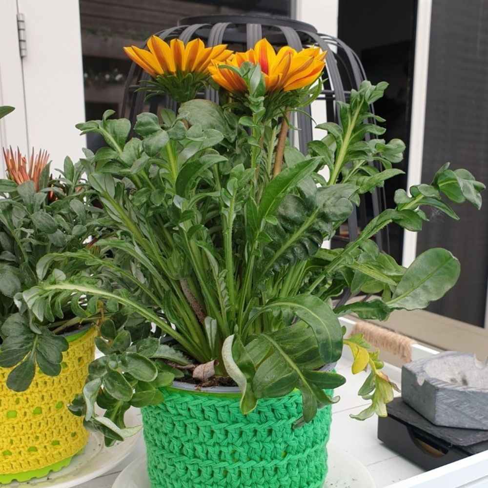 Planter GREEN